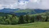 Excursión Senderismo Les Gets - morzine col du mont chery - Photo 1