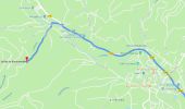 Tour Wandern Masevaux-Niederbruck - 10076782-Niederbruck - Photo 1