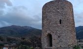 Randonnée Marche Laroque-des-Albères - autour de LAROQUE  - Photo 7