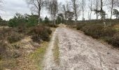 Trail Walking Kalmthout - Kalmthout parcours Park 24,4 km - Photo 2