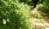 Trail On foot Mole Valley - Norbury Park Off Road Cycle & Walk (SCC) - Photo 3