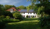 Percorso A piedi Kellenhusen - Wald- und Wellen-Route, Kellenhusen - Photo 2