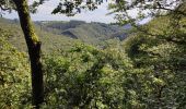 Randonnée Marche Houffalize - Sandrine: le hérou et le chesle  - Photo 8