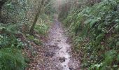 Trail Walking Cormeilles - cormeilles - Photo 5