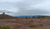 Randonnée Marche Trévillach - Séquière depuis le col des Auzines  - Photo 12