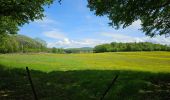 Tocht Stappen Baume-les-Messieurs - A la découverte de Baume-les-messieurs 🥾 - Photo 7