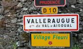 Tocht Stappen Val-d'Aigoual - Montée Aigoual et descente par Aire de Côte  - Photo 2