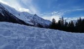 Trail Walking Chamonix-Mont-Blanc - CHAMONIX ... vers les Praz de Chamonix.  - Photo 1