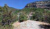 Percorso Marcia Garde-Colombe - Gorges du Riou - Photo 1