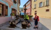 Tocht Stappen Riquewihr - Riquewihr  - Photo 2