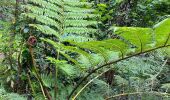 Tour Wandern São Jorge - Levada del Rei - Photo 15