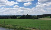 Tocht Stappen La Roche-en-Ardenne - rando warempage 13/07/2020 - Photo 4