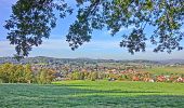 Percorso A piedi Glashütten - Glashütten Salzlecken-Rundweg - Photo 2