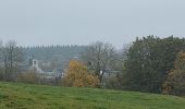 Tocht Stappen Durbuy - De Durbuy à Palange et retour. - Photo 11