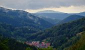 Tour Zu Fuß Schleusegrund - Naturlehrpfad 