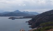 Tocht Stappen Calvi - Phare de Revellata - Photo 5