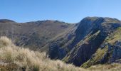 Tour Wandern Laveissière - SityTrail - TABAZE Plomb du Cantal - Photo 2