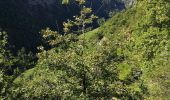 Tour Nordic Walking Icogne - bisse du claveau  - Photo 1