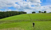 Tour Wandern Aubel - Abbaye du Val-Dieu - Photo 7