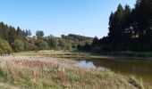 Tour Wandern Bütgenbach - butchenbach tour du lac - Photo 10