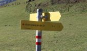 Tocht Te voet Goldegg - Höhenrundweg um Goldegg - Photo 1