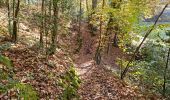 Trail Walking Vendôme - Forêt de Vendôme - Bois de l'Oratoire - Photo 19