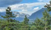 Randonnée Marche Treffort - Valgo2 - J3. : les passerelles de Monteynard - Photo 20