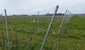 Trail Walking Saint-Saturnin - La balade entre saint saturnin et Trois Palis - Photo 2