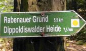 Tocht Te voet Freital - Freitaler Rundweg 5 - Photo 2