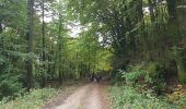 Randonnée Marche nordique Lauroux - Labeil Forêt de L'Escandorgue Roquet Escu - Photo 13