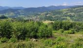 Excursión Senderismo Soultzeren - Hohrodberg Mussmiss - Photo 1