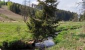 Randonnée Marche Gouvy - Au fil de l'eau - Gouvy   - Photo 1