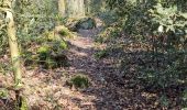 Percorso Marcia Durbuy - Heyd avec le chemin des crêtes  - Photo 20