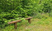 Tocht Stappen Vresse-sur-Semois - Promenade de la Roche à Campa - Orchimont - Photo 3