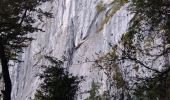 Excursión Senderismo Châtelus - la grotte des Gaulois, le pas de l' Echarasson, porte du diable, pas de charmate - Photo 2