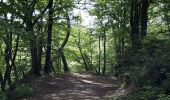 Tocht Stappen Bouillon - Rochehaut - Les Échelles  - Photo 11