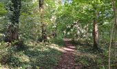 Tour Wandern Comblain-au-Pont - ambleve . pic de Napoléon . roches noires . ourthe  - Photo 16