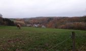 Trail Walking Onhaye - Weillen 171120 - Photo 2