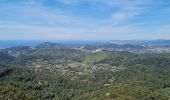 Tocht Stappen Le Revest-les-Eaux - Le tour du mt Caume - Photo 12