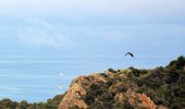 Tour Wandern Six-Fours les Plages - Cap Sicié - Notre Dame du Mai - Six fours - Photo 9