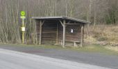 Tocht Te voet Habichtswald - Habichtswald, Rundweg 6 - Photo 1