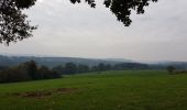 Tour Wandern Ferrières - Logne (Vieuxville) - Izier - Ferrières - My - Photo 1