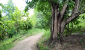 Tour Wandern Le Lamentin - Parcours de santé du morne Cabri  - Photo 2