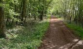 Percorso Marcia Thuin - Aulne dans les bois - Photo 10