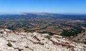 Randonnée Marche Pourrières - Mont Aurélien  - Photo 13