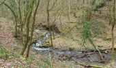 Excursión A pie Esneux - ES13. Tilff - Circuit du Bois des Manants - Photo 4