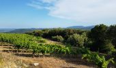 Excursión Marcha nórdica Le Bosc - Le Bosc Grandmont - Photo 18