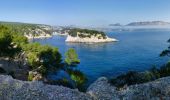 Excursión Senderismo Cassis - Calanques de CASSIS  port miou en vau port pin la cacau - Photo 2