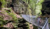 Randonnée  Consdorf - Consdorf - Echternach par le Mullerthal Trail - Photo 3