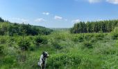 Trail Walking Neufchâteau - Tronquoy - Respelt - Photo 9